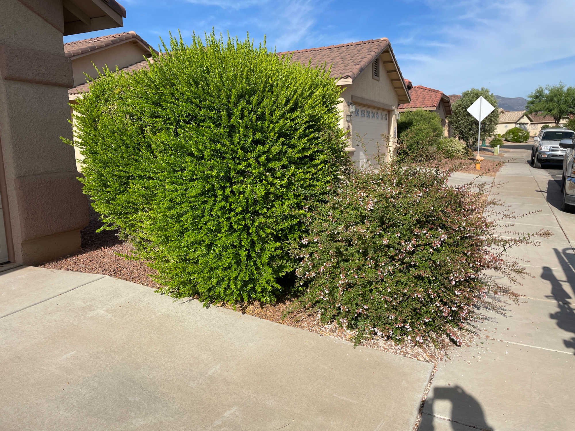 Photo Jun 15 2022, 8 31 14 PM (1) (1)