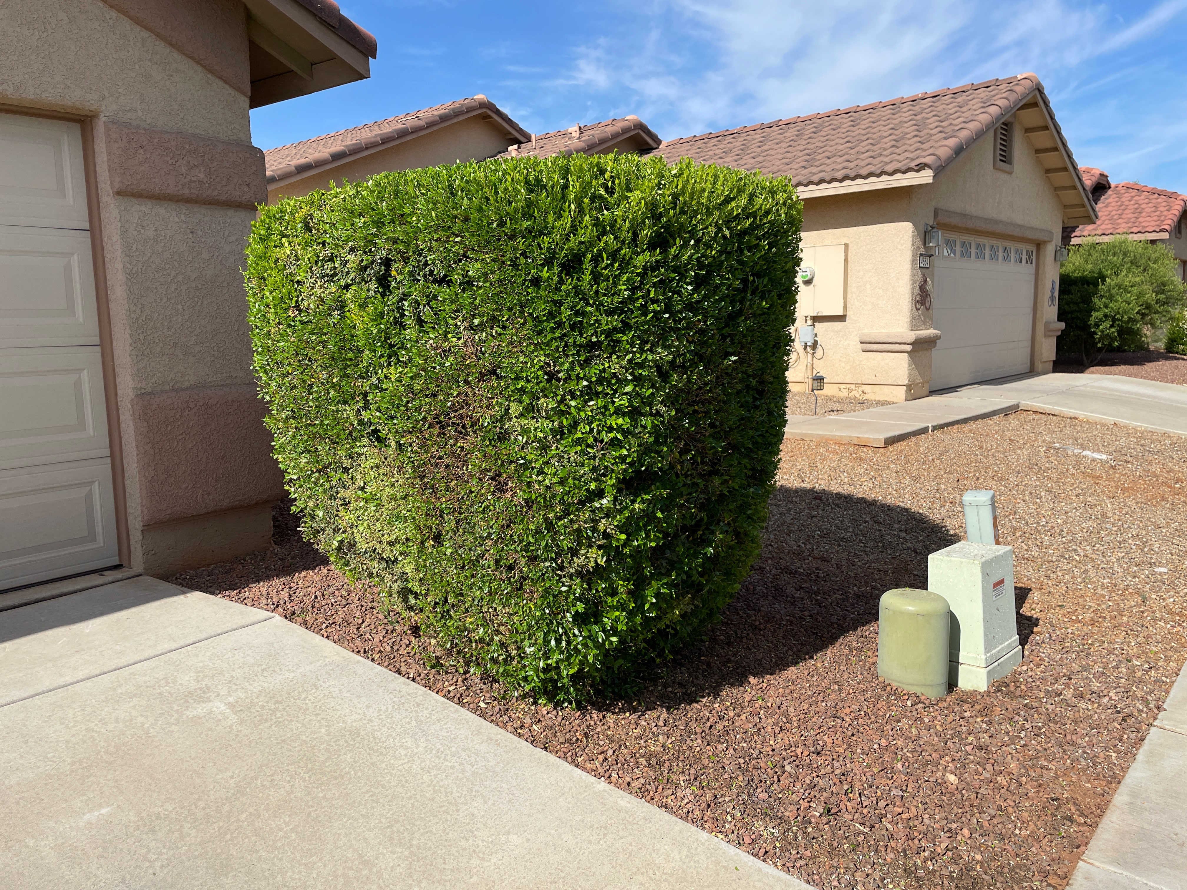 Photo Jun 15 2022, 8 31 16 PM (1) (1)