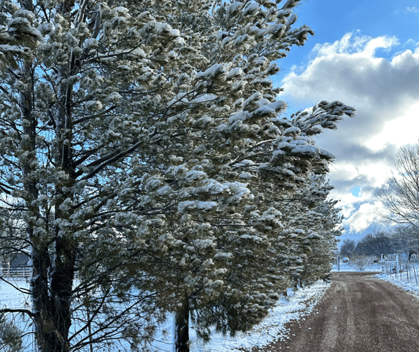 Snow in southern Arizona