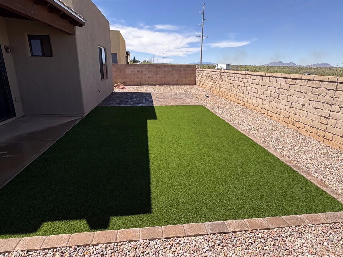 backyard-turf1