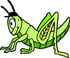 grasshopper-1