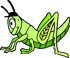 grasshopper-2