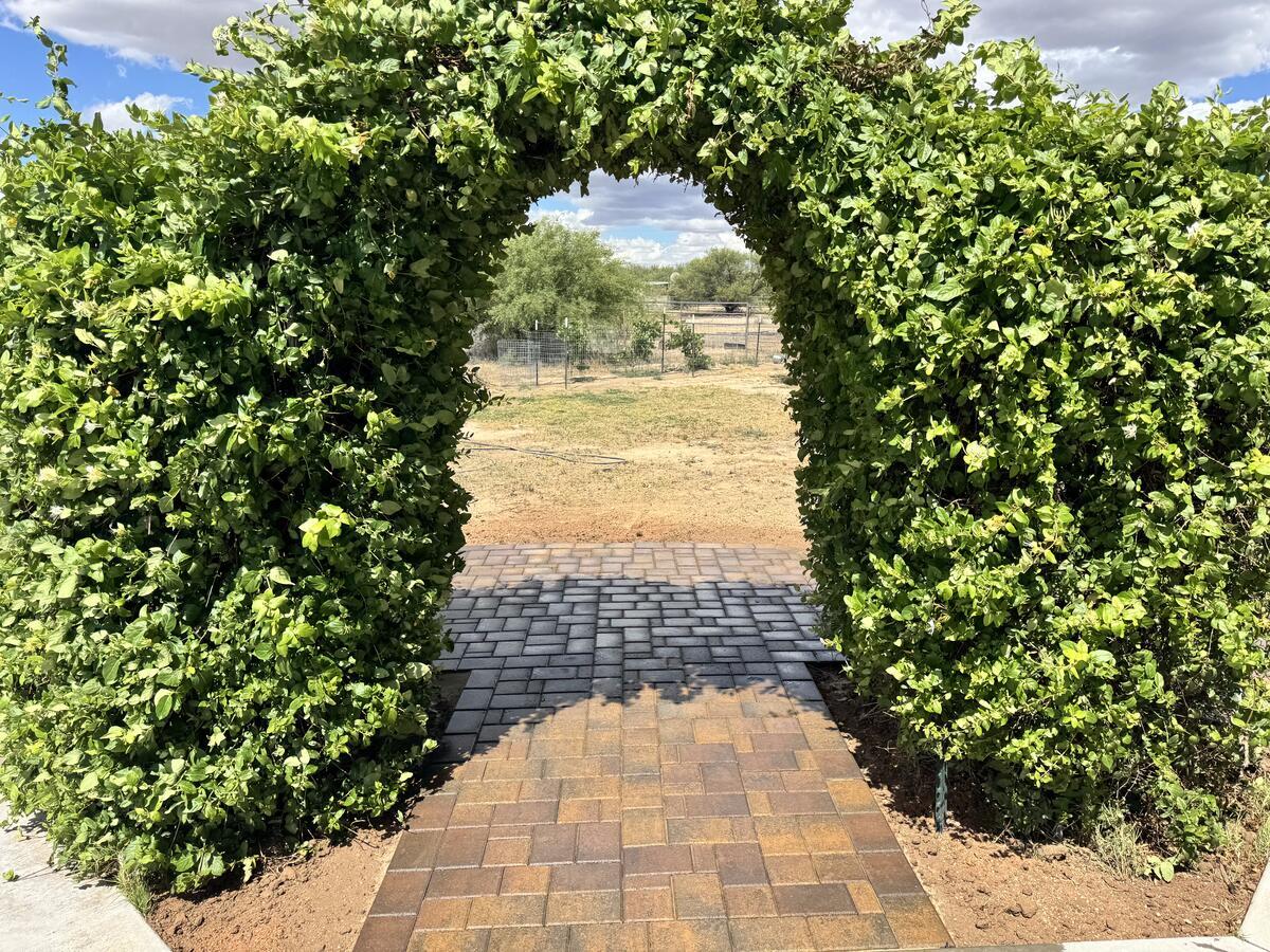 hedge-archway-path-2