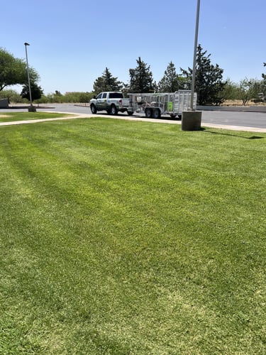 Beautiful lawn in Arizona