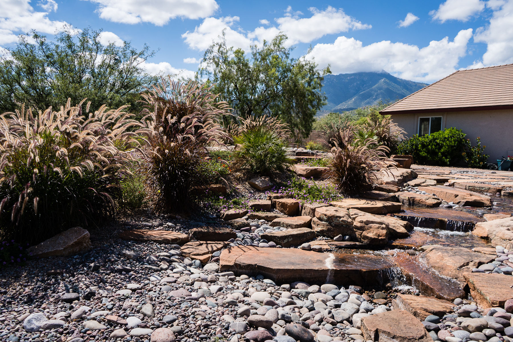 What does our motto really mean?