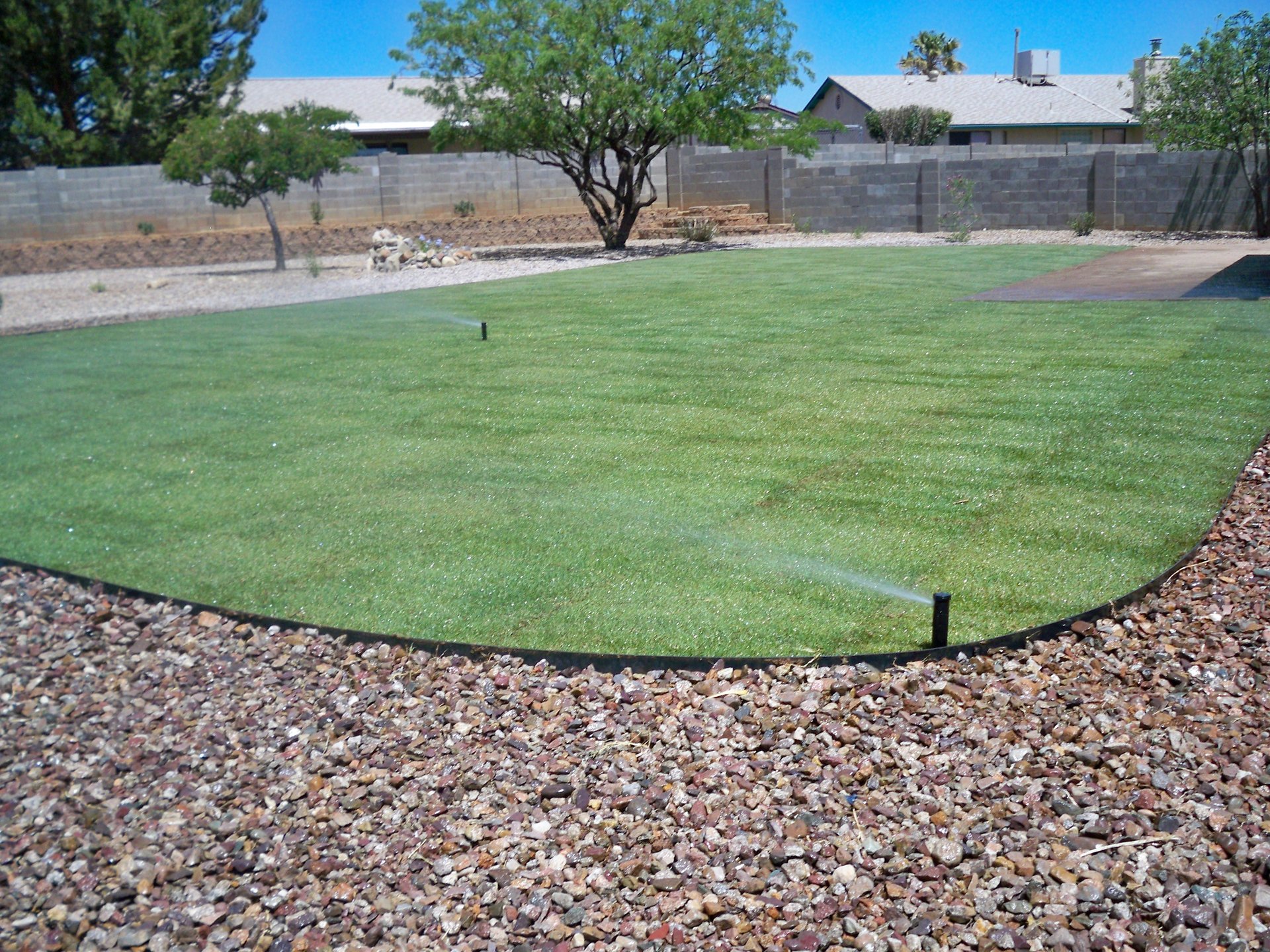 Sod1 Sod1