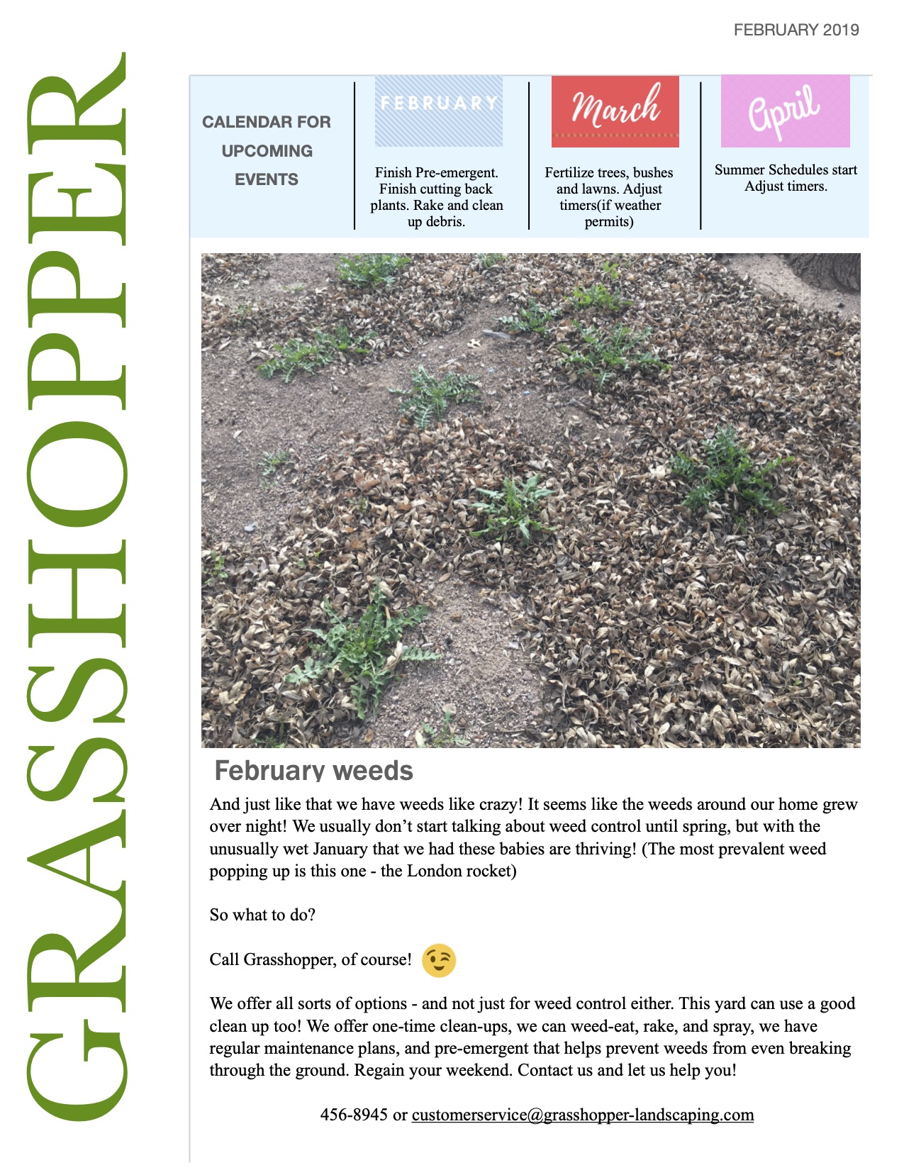 Newsletter