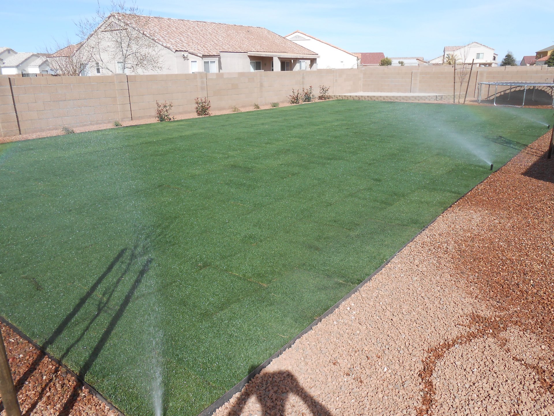 grass grass